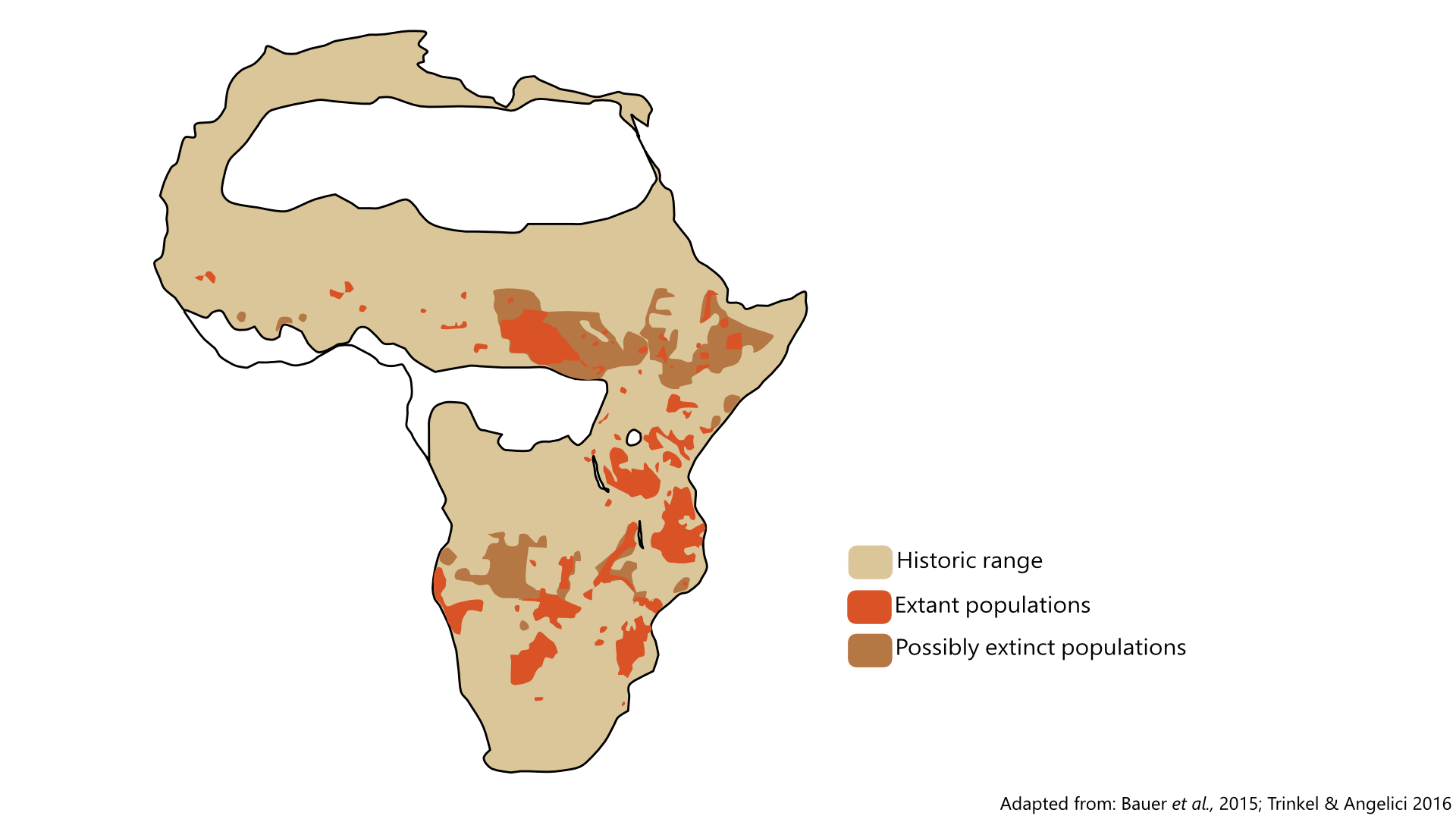lion habitat map